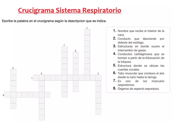 Crucigrama Sistema Respiratorio Profe social crucigrama-sistema-respiratorio-profe-social